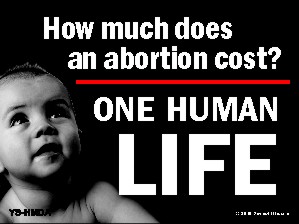 How Much Does An Abortion Cost? One Human Life Yard Sign 18x24